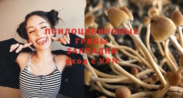 соль ск Ступино