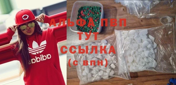 крисы Тавда