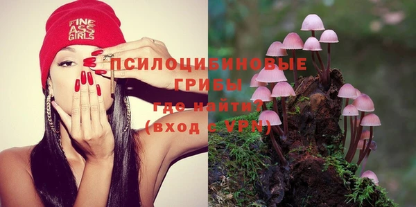 Альфа ПВП Строитель