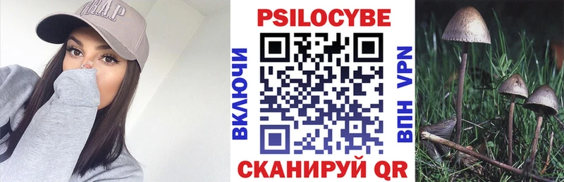 купить наркотик  omg как зайти  Галлюциногенные грибы Psilocybine cubensis  Великий Устюг 