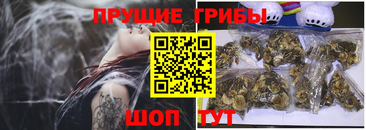 Псилоцибиновые грибы Magic Shrooms Великий Устюг