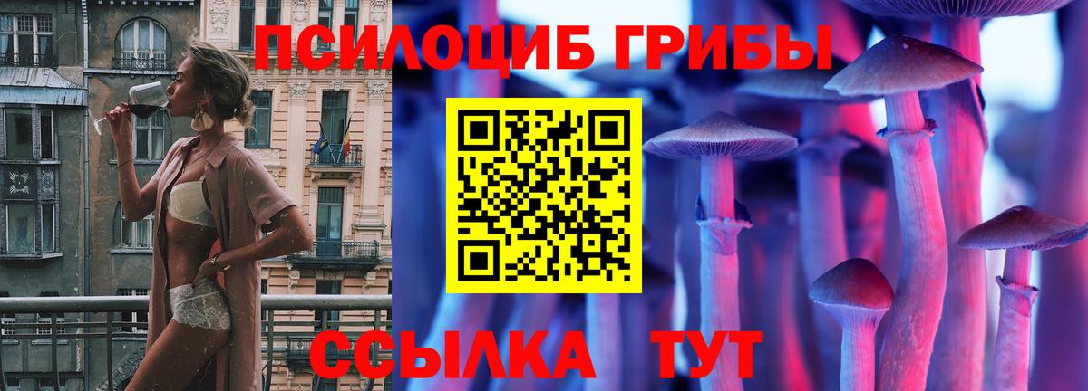 Великий Устюг  купить   Вход с VPN  Псилоцибиновые грибы мицелий  Псилоцибиновые грибы Magic Shrooms 