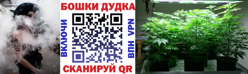 купить закладку  Великий Устюг  Бошки Шишки конопля 