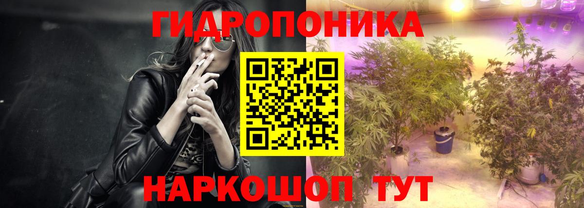 Марихуана сатива  Бошки Шишки Bruce Banner  Вход с VPN  Бошки Шишки OG Kush  Бошки марихуана VHQ  Великий Устюг 